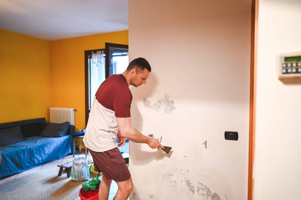 Best Mold Remediation Experts  in Pce, LA